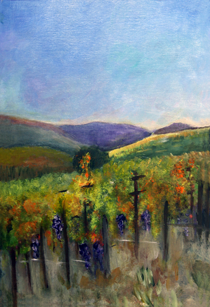 Scotts Vineyard